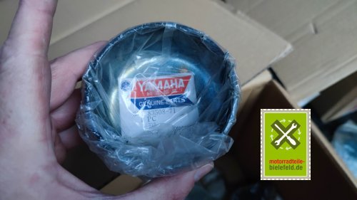 IMG_20231128_153543